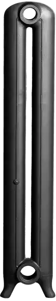 Élément pour radiateur Lisse 2 colonnes hauteur:115 cm
