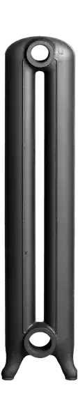 Élément pour radiateur Lisse 2 colonnes hauteur:96 cm