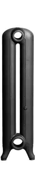 Élément pour radiateur Lisse 2 colonnes hauteur:81 cm