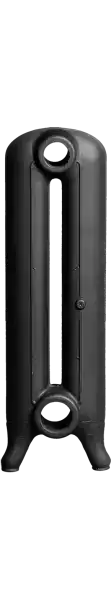 Élément pour radiateur Lisse 2 colonnes hauteur:67 cm