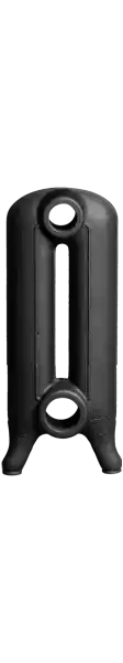 Élément pour radiateur Lisse 2 colonnes hauteur:51 cm
